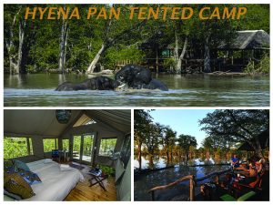 hyena pan tented camp
